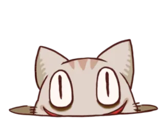 😶 d28a983b kat, dier, grappig, cartoon, meme, gekke ogen telegram sticker