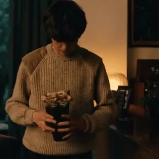 🌸 291232a0 telegram sticker