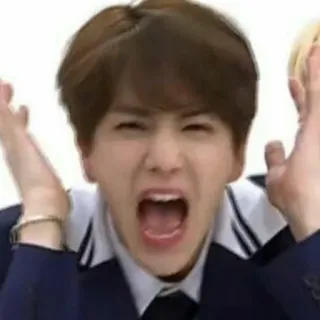 ❄️ 19108f34 表情包, 反应, 滑稽表情, 生气 telegram sticker