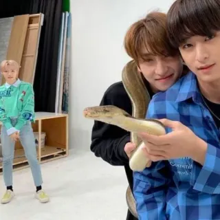 ❄️ 1d213c0b 人物, 蛇, 动物, 肖像, 男人 telegram sticker