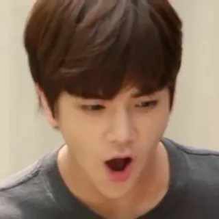 ❄️ 54612761 telegram sticker