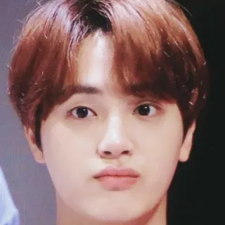 ❄️ 6be41dab 男人, 肖像, 人物, 脸 telegram sticker