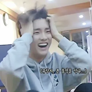 ❄️ b6aee1f3  (규랑지, 큰 충격을 먹다...) telegram sticker