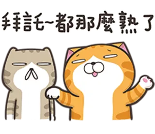 ☺️ 8fddae5a 拜託~都那麼熟了 kot, kreskówka, słodki, śmieszny, zwierzę, postać telegram sticker