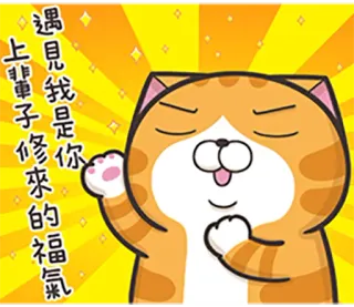 😌 a638d3d1 遇見我是你上輩子修來的福氣 kot, szczęście, powitanie, uroczy, animowany, kreskówka telegram sticker