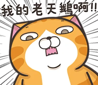 😱 a918aeb3 我的老天鵝啊!! kot, kreskówka, wyraz, szok, zabawny telegram sticker
