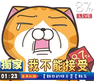 😭 f23352bf 猫家 我不能接受 kot, płacz, zszokowany, kreskówka, mem telegram sticker