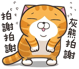 ☺️ f5b74589 拍拍謝拍謝灰熊 kot, kreskówka, zwierzę, słodki, dziękuję, przepraszam telegram sticker