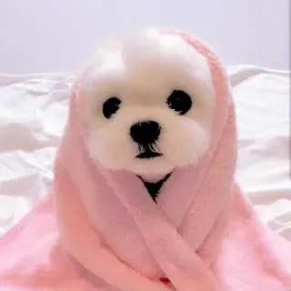 🥺 3f5d8d92 dog, puppy, cute, towel, pink, animal, pet whatsapp sticker