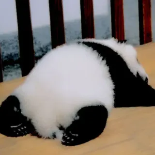 🥺 669ec1fb panda, animal, bear, cute, wildlife, sleeping whatsapp sticker