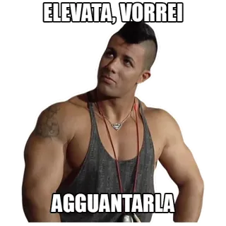 😳 1be7a6ad ELEVATA, VORREI AGGUANTARLA イタリア, 男性, ステッカー, 引用 telegram sticker
