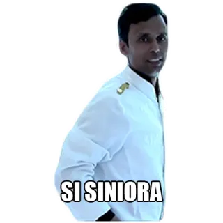🖼 27a0b98e SI SINIORA 男, スペイン語, ミーム, はい, シニョーラ telegram sticker