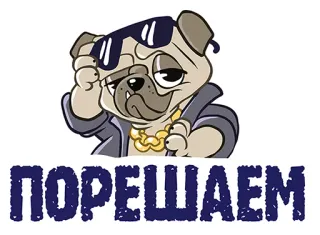 👌 631b9096 ПОРЕШАЕМ chó, kính râm, dây chuyền vàng, chó pug telegram sticker