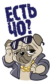 👌 e8e06095 ЕСТЬ ЧО? chó, chó pug, kính râm, ngầu, động vật telegram sticker