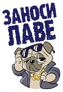 👌 ff234b5f ЗАНОСИ ПАВЕ chó, chó pug, kính râm, dây chuyền vàng, ngầu, động vật telegram sticker