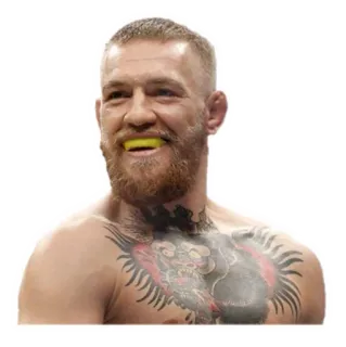 Conor McGregor telegram stickers