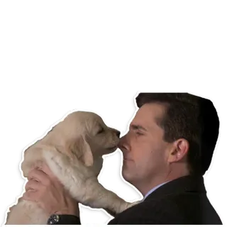 🐶 24b03e01 pria, anjing, anak anjing, ciuman, golden retriever, kasih sayang telegram sticker