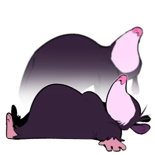 Opossum pack telegram stickers