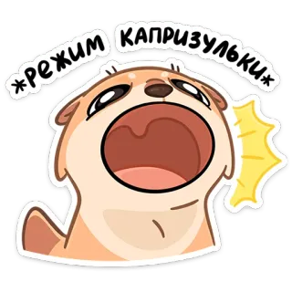 Семейка Отти :: @stickroom telegram stickers