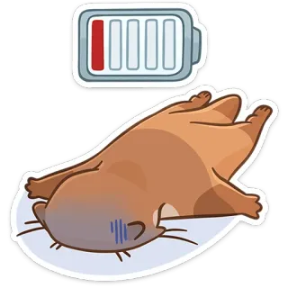 😴 3925feb0 animale, esausto, batteria, scarica, gatto, stanco whatsapp sticker