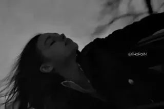 🎫 8c2a8881 @ThoPaiN telegram sticker