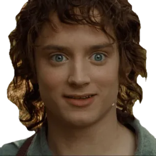 Властелин колец telegram stickers