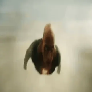 🏃 9f161be2 whatsapp sticker