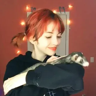 🍂 7dc294b4 furão, menina, animal de estimação, animal whatsapp sticker