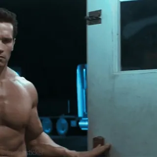 🦾 baf1e88e Terminator Terminator 2: Judgment Day Арнольд Шварценеггер, Экшен, Научная фантастика, Фильм, Оружие, Мускулистый, Дверь telegram sticker