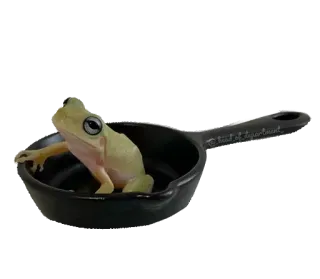 🍳 0b7764b3 fraud department rana, padella, divertente, meme, frode telegram sticker