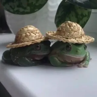 👥 0fc44f66 rane, animali, cappelli, carino, verde, stravagante telegram sticker