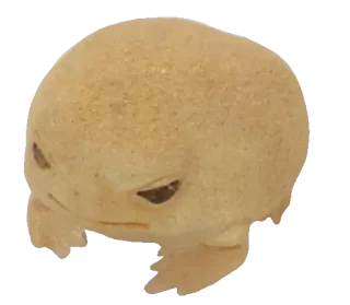 🍋 0fe44fce rospo, rana, anfibio, animale, carino, meme telegram sticker