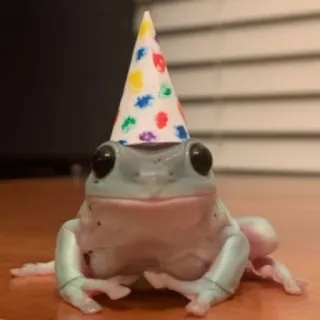 🥳 1807be16 rana, compleanno, festa, animale, carino, celebrazione, cappello telegram sticker