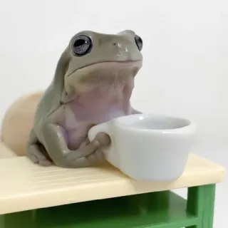 🤔 5b031ab4 rana, tè, caffè, animale, carino, bere telegram sticker