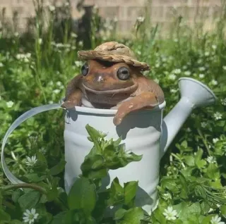 👨‍🌾 6ab86e87 rana, annaffiatoio, giardino, natura, carino telegram sticker