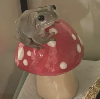 🍄 b30ba4b0 rana, fungo, anfibio, natura telegram sticker