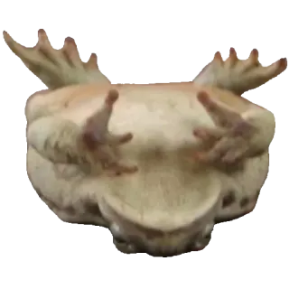 ☠️ cb6f1770 rana, animale, anfibio, carino, fauna selvatica telegram sticker