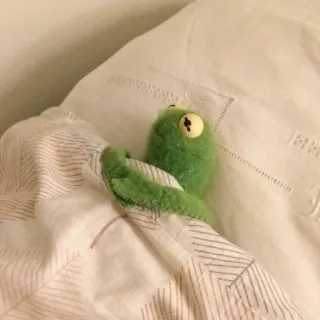 😴 daadbbd9 Kermit kermit la rana, rana, pupazzo, letto, assonnato telegram sticker