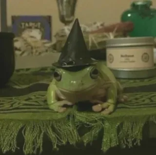 🧙‍♀️ ee6bcdc3 rana, strega, cappello, animale, verde, Halloween telegram sticker