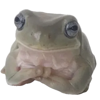 😐 fc55a537 rana, animale, anfibio telegram sticker