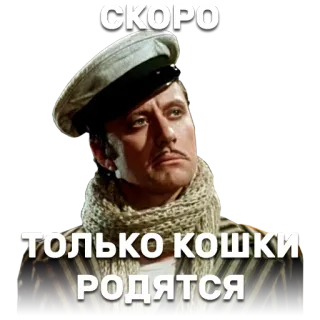 😾 e115b6b6 СКОРО
ТОЛЬКО КОШКИ
РОДЯТСЯ 男人, 帽子, 脸, 俄语, 很快, 猫 telegram sticker