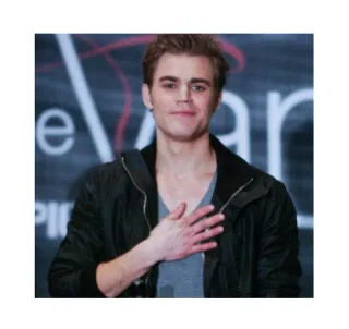 😊 eb931921 Stefan Salvatore The Vampire Diaries 电视剧, 吸血鬼, 演员, 肖像, 保罗·韦斯利 whatsapp sticker