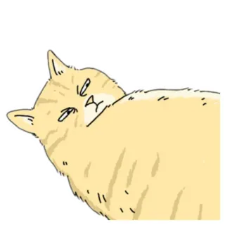 😡 289ddb81 kucing, binatang, hewan peliharaan, hewan peliharaan, meme, lucu, imut telegram sticker