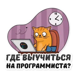 🤪 276a440f ГДЕ ВЫУЧИТЬСЯ НА ПРОГРАММИСТА? kat, programmeur, laptop, klok, leren, studie, cartoon telegram sticker