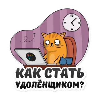 🤪 6b2a378e КАК СТАТЬ УДОЛЁНЩИКОМ? kat, computer, werk, thuiswerken, thuiskantoor, cartoon telegram sticker