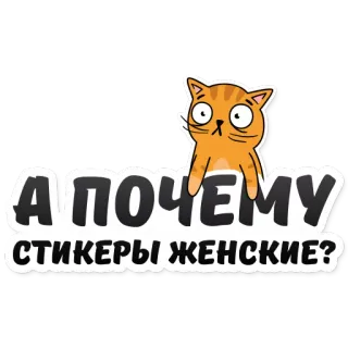 👨‍🦰 e64b675b А ПОЧЕМУ СТИКЕРЫ ЖЕНСКИЕ? kat, vraag, stickers, oranje kat telegram sticker