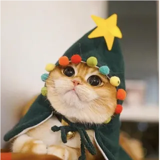 🧙‍♂️ 6403c234 gatto, albero di Natale, animale, animale domestico, carino, vacanza telegram sticker