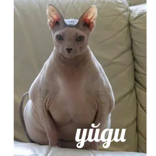 Это конец telegram stickers