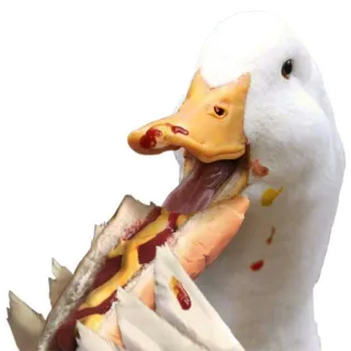 🦆 9d77d4c8 canard, animal, hot-dog, nourriture, oiseau telegram sticker
