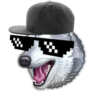 😎 f3b1a85f หมาป่า, แว่นตา, หมวก, สัตว์, มีม, แว่นกันแดด, พิกเซล telegram sticker